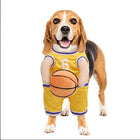 basketball dog costume on a small dog