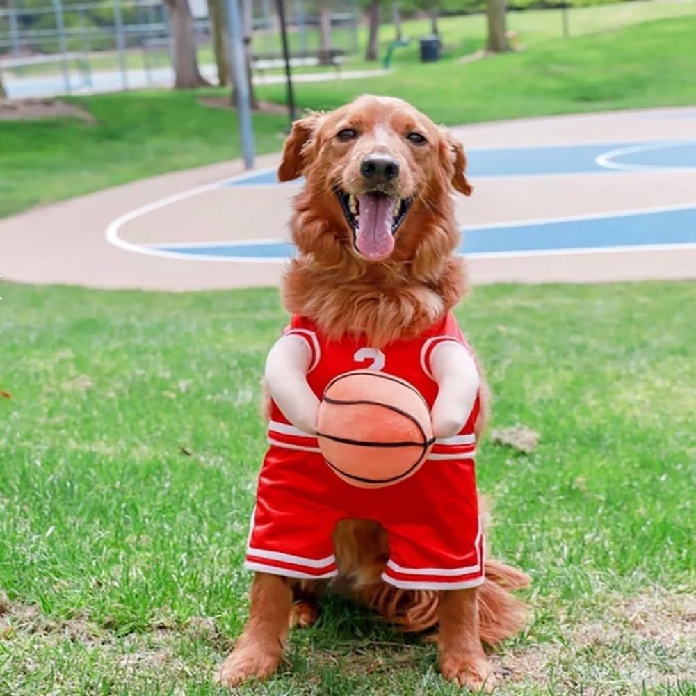 dog wearing a red basketball player costume holding a ball