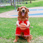dog wearing a red basketball player costume holding a ball